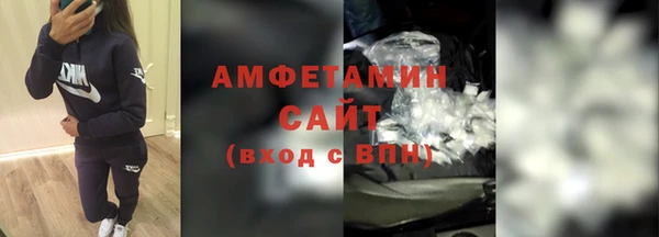 прущие грибы Переславль-Залесский