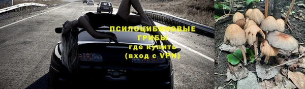 амф Осинники