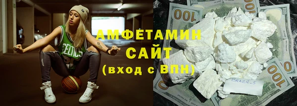 прущие грибы Переславль-Залесский