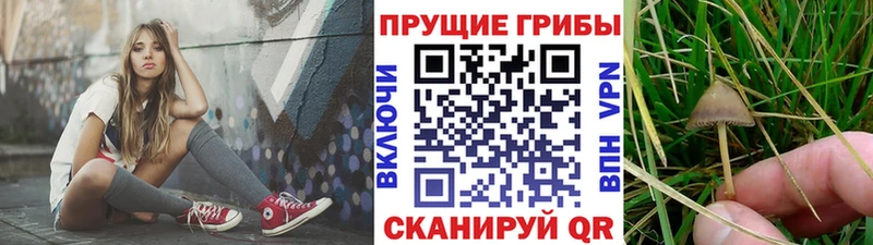 Псилоцибиновые грибы MAGIC MUSHROOMS  Ленинск 